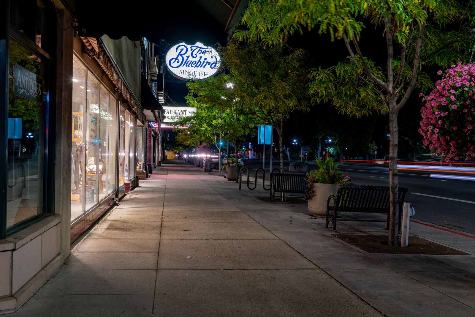 Charming nighttime streetscape in Logan, Utah featuring shops and vibrant street life.